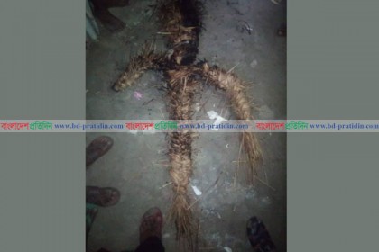 

জাতীয় পার্টির দুই গ্রুপে সংঘর্ষে আহত ১৩, সাদ এরশাদের কুশপুত্তলিকা দাহ
