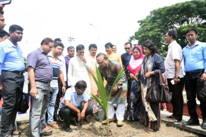 পদ্মাপাড়ে সাড়ে ১৪ হাজার বৃক্ষরোপণের উদ্বোধন করলেন রাসিক মেয়র 
