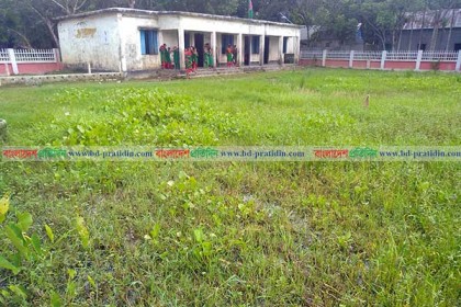 বিদ্যালয়ের মাঠে পানি-কচুরিপানা, দুর্ভোগে শিক্ষক-শিক্ষার্থীরা