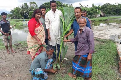 বাগেরহাটে ৬ কিলোমিটার খাল পাড়ে গাছের চারা রোপন শুরু 