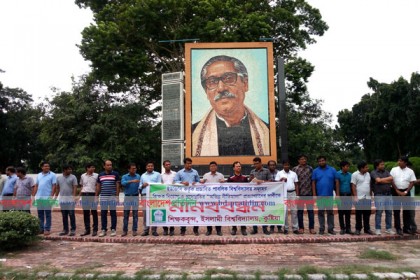 অভিন্ন নীতিমালা বাতিলের দাবিতে ইবি শিক্ষকদের মানববন্ধন
