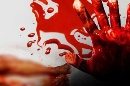 বিড়াল নিয়ে ঝগড়ার জেরে মালয়েশিয়ায় প্রবাসী বাংলাদেশি খুন