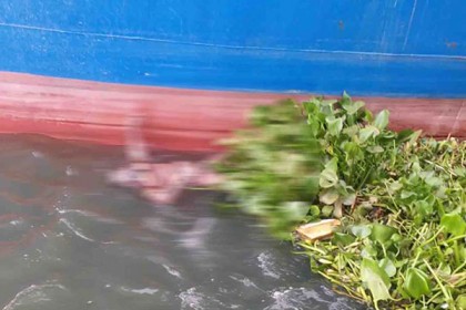 শীতলক্ষ্যা নদীতে ডাকাতির সময় নিখোঁজ ব্যক্তির লাশ উদ্ধার