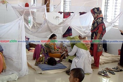 বরিশালে ডেঙ্গু রোগীর সংখ্যা প্রতিদিনই কমছে