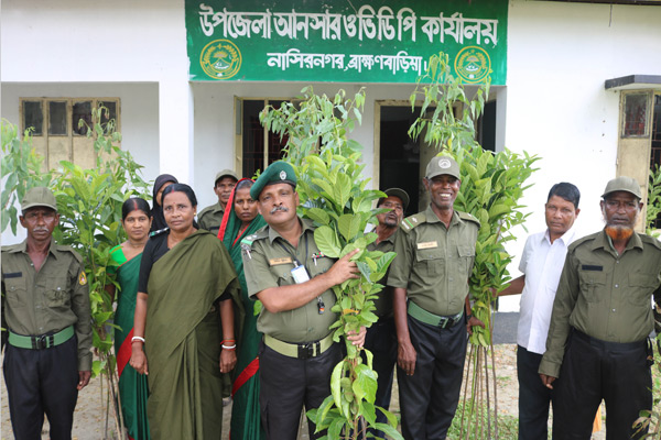নাসিরনগরে আনসার-ভিডিপির বৃক্ষরোপন কর্মসূচি