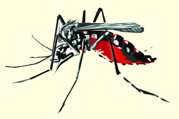 ২৪ ঘণ্টায় হাসপাতালে ভর্তি ৬০৭ ডেঙ্গু রোগী