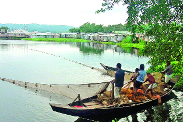 কাপ্তাই হ্রদে মাছের বাম্পার আহরণ