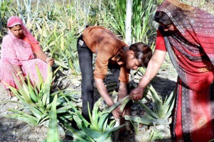 মেয়ে জন্ম নিলেই লাগানো হয় ১১১টি গাছ! 