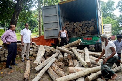 কুমিল্লায় ১০ লাখ টাকার কাঠ ফেলে পালাল চালক