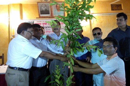 কলাপাড়ায় তিন দিনব্যাপী ফলদ বৃক্ষমেলা

