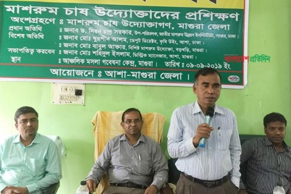 মাগুরায় মাশরুম চাষে উদ্যোক্তাদের প্রশিক্ষণ কর্মশালা