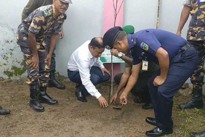 নেত্রকোনায় আনসার ও গ্রাম প্রতিরক্ষা বাহিনীর বৃক্ষরোপণ