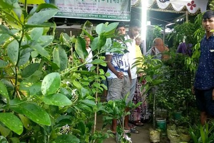 নেত্রকোনায় শেষ হল বৃক্ষমেলা