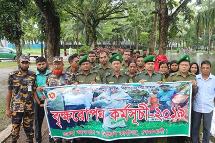 নোয়াখালীতে আনসার ও ভিডিপি’র বৃক্ষরোপন
