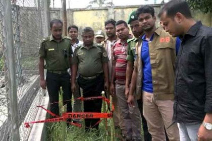 নাটোরে রাইফেল ও রিভলবারের ৬ রাউন্ড গুলি উদ্ধার