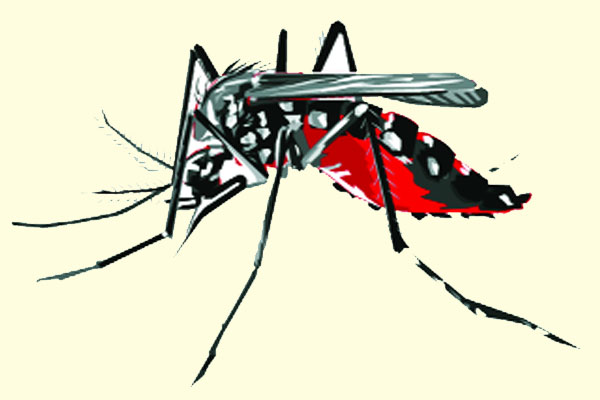 ডেঙ্গুতে আরও ৫ জনের মৃত্যু