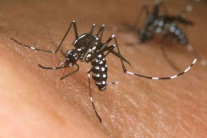 যাওয়া হলো না লন্ডন, ডেঙ্গুতে কেড়ে নিল প্রাণ