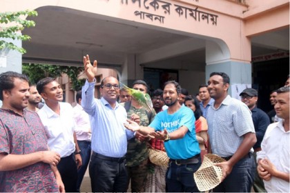 মুক্ত বাতাসে ফিরে গেল সবুজ টিয়া পাখিগুলো