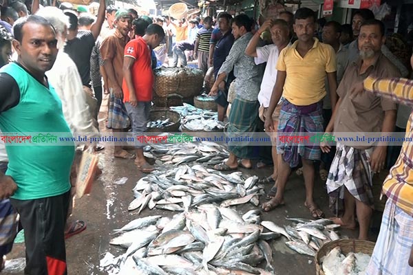 জেলেদের জালে প্রচুর ইলিশ ধরা পড়ার পরও দাম চড়া