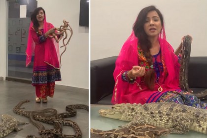 মোদিকে বিষধর সাপ উপহারের হুমকি, গ্রেফতার সেই পাকিস্তানি অভিনেত্রী