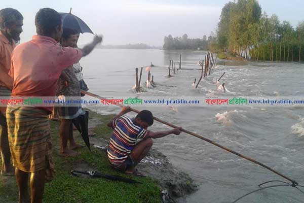 বিপদসীমার কাছে তিস্তার পানি, বাঁধ ভেঙে শতাধিক পরিবার পানিবন্দি 