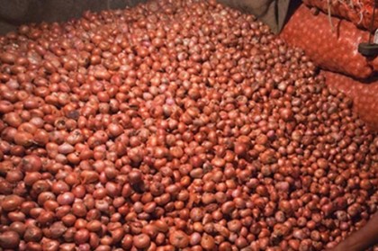 ৪৫ টাকা দরে পেঁয়াজ বিক্রি শুরু টিসিবি’র