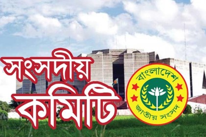 রোহিঙ্গা প্রত্যাবাসনে থাইল্যান্ড মডেল কাজে লাগানোর সুপারিশ