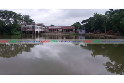 জলাবদ্ধতা সৃষ্টি করে বিদ্যালয়ের মাঠে মাছ চাষ!
