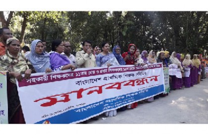 তেঁতুলিয়ায় প্রাথমিক শিক্ষকদের মানববন্ধন