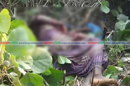কুষ্টিয়ায় রিক্সা চালকের গলা কাটা লাশ উদ্ধার 