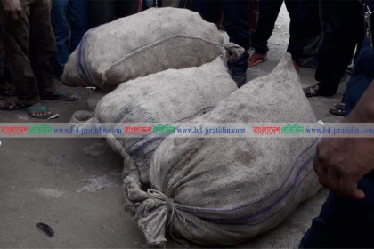 ঠাকুরগাঁওয়ে ৪ বস্তায় মানুষের কঙ্কাল উদ্ধার