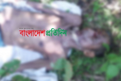 শার্শায় আম বাগানের ভেতরে মিলল অজ্ঞাত বৃদ্ধের লাশ