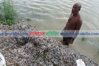 রাস্তায়-ডোবায় বিপুল পরিমাণ কুচি কুচি টাকা