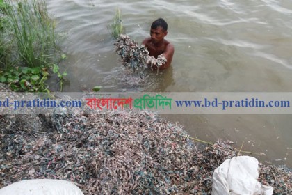 'রাস্তার পাশে পড়ে থাকা নোটের টুকরোগুলো বাতিল হওয়া অপ্রচলনযোগ্য' 