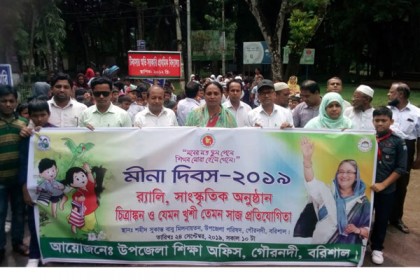 গৌরনদীতে নানা আয়োজনে মীনা দিবস পালিত