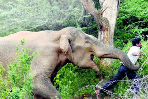 বিদেশ যাওয়া হল না প্রবাসীর 


