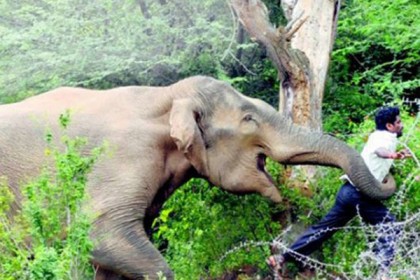 বিদেশ যাওয়া হল না প্রবাসীর 

