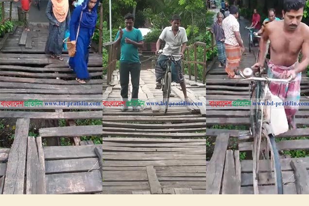 কলারোয়ার ৪৯ বছরের কাঠের ব্রিজটি এখন মরণ ফাঁদ!
