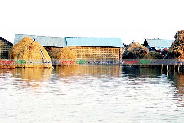পদ্মা-মহানন্দা-পাগলায় পানি বাড়ছে, নিম্নাঞ্চলে ১২শ' পরিবার পানিবন্দি