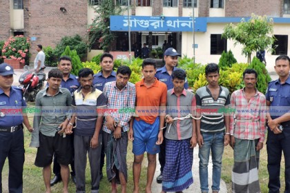 মাগুরায় ৭ গরু ডাকাত গ্রেফতার, ১৮ গরু ও ট্রাক উদ্ধার