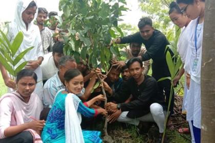 প্রধানমন্ত্রীর জন্মদিনে বৃক্ষরোপণ কয়রা উপজেলা ছাত্রলীগের
