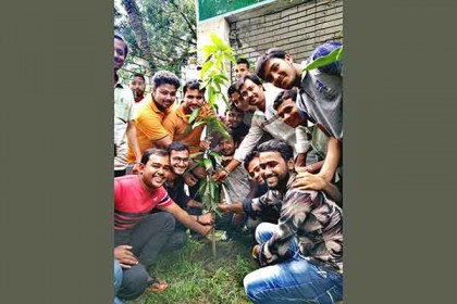 সিংড়ায় বৃক্ষরোপণ অভিযান উদ্বোধন