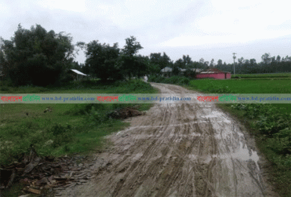 বীরগঞ্জে সড়কের বেহাল দশা, দুর্ভোগ চরমে