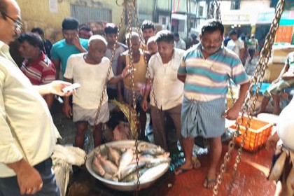 বাংলাদেশের ইলিশ ১৬০০ রুপি ভারতে 