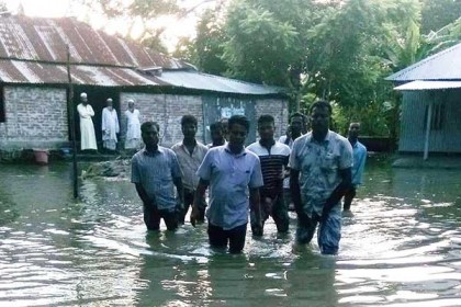 রায়পুরে টানা বর্ষণে ফসলের ব্যাপক ক্ষতি, ৮ গ্রাম প্লাবিত
