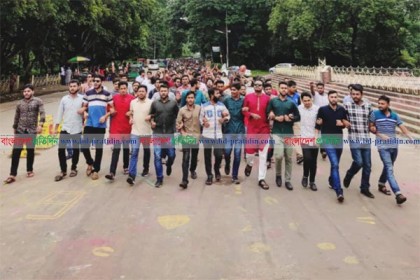 প্রধানমন্ত্রীর নানা অর্জনে চবিতে আনন্দ মিছিল 