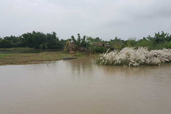 চাঁপাইনবাবগঞ্জে পদ্মা ও মহানন্দা নদীর পানি বৃদ্ধি অব্যাহত 