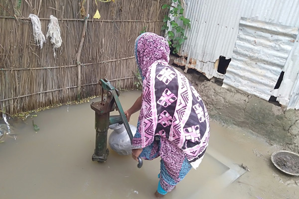পদ্মায় পানি বৃদ্ধিতে লালপুরে তিন হাজার পরিবার পানিবন্দি

