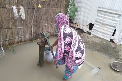 পদ্মায় পানি বৃদ্ধিতে লালপুরে তিন হাজার পরিবার পানিবন্দি

