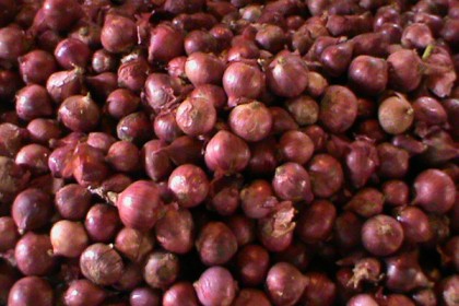 পেঁয়াজের দাম কমল কেজিতে ৩৫ টাকা
